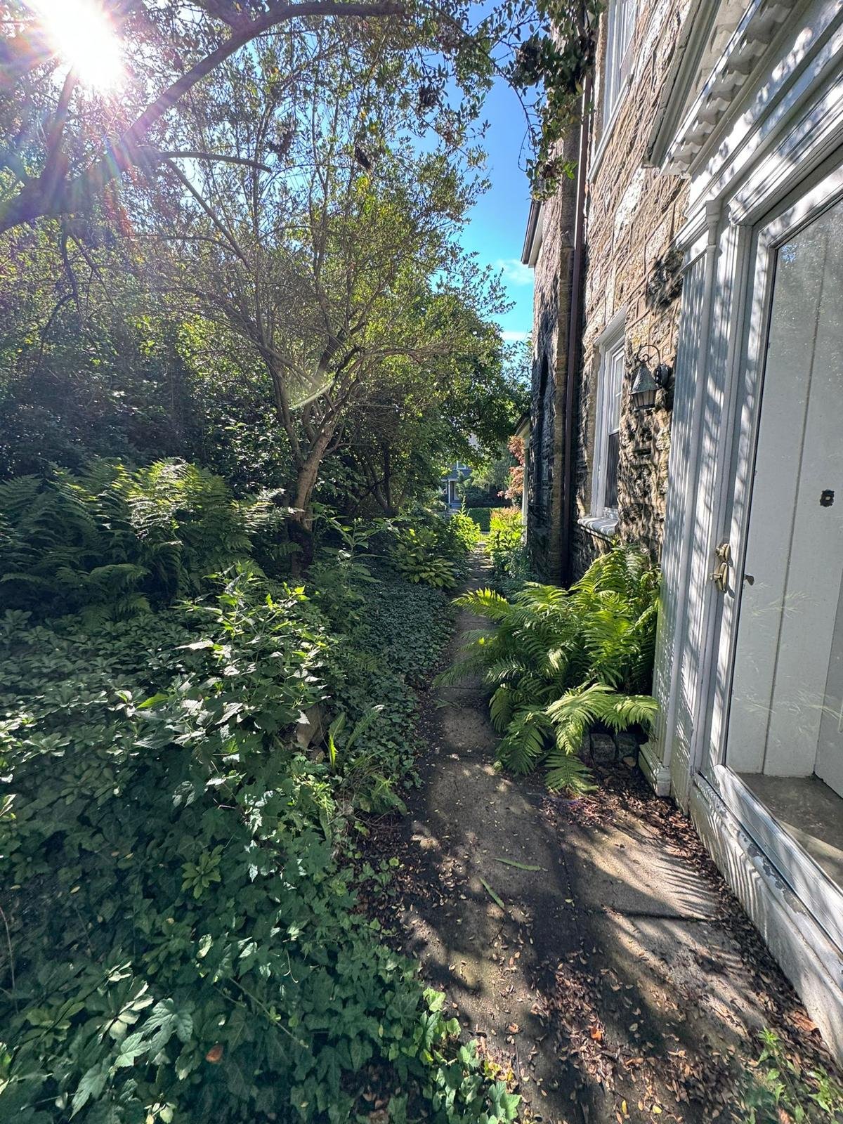 Yard cleanup work by Green Force Property Services